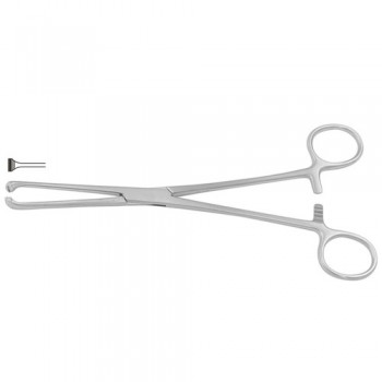 Allis Atrauma Intestinal and Tissue Grasping Forceps Stainless Steel, 20 cm - 8"